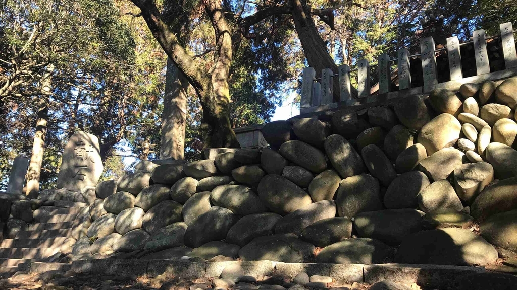 f:id:shohei_info:20190114082735j:plain