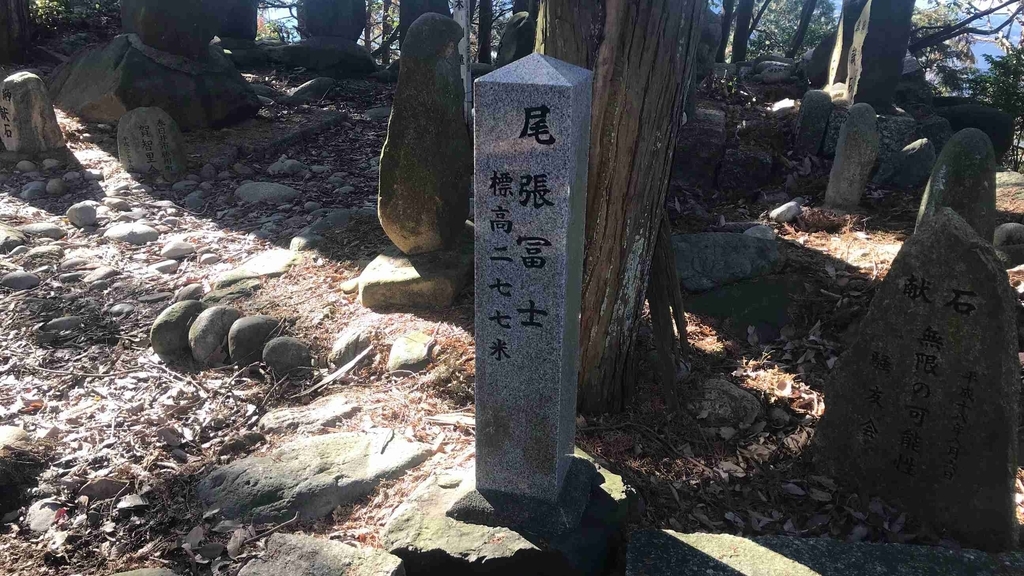 f:id:shohei_info:20190114082948j:plain