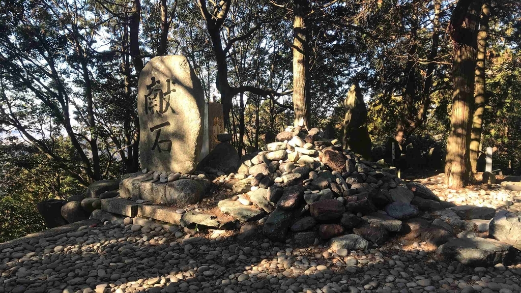 f:id:shohei_info:20190114083114j:plain