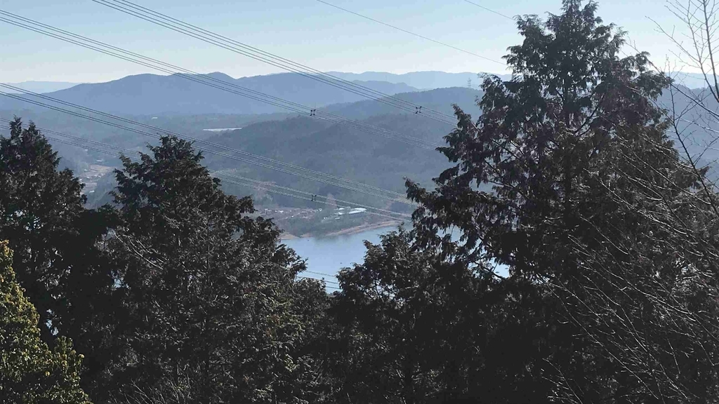 f:id:shohei_info:20190114083504j:plain