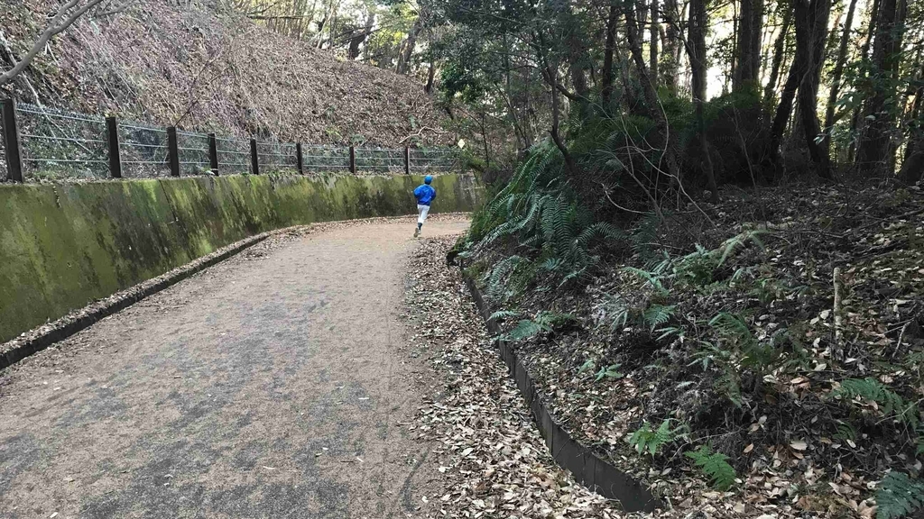 f:id:shohei_info:20190114083557j:plain