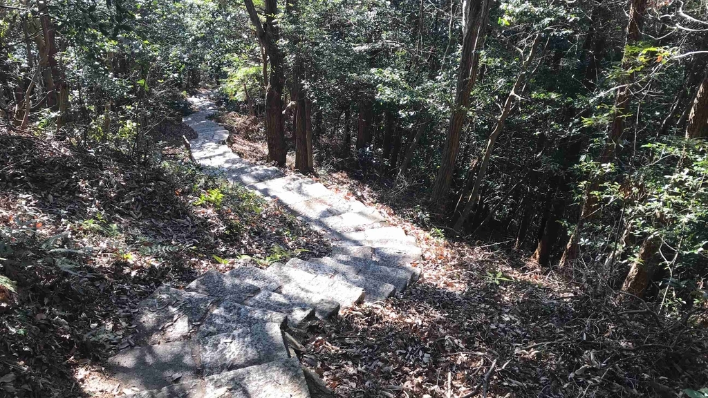 f:id:shohei_info:20190114083717j:plain