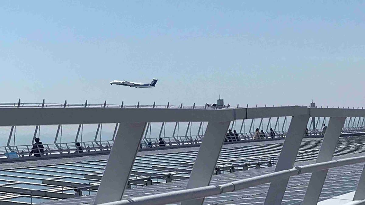 f:id:shohei_info:20190415100504j:plain