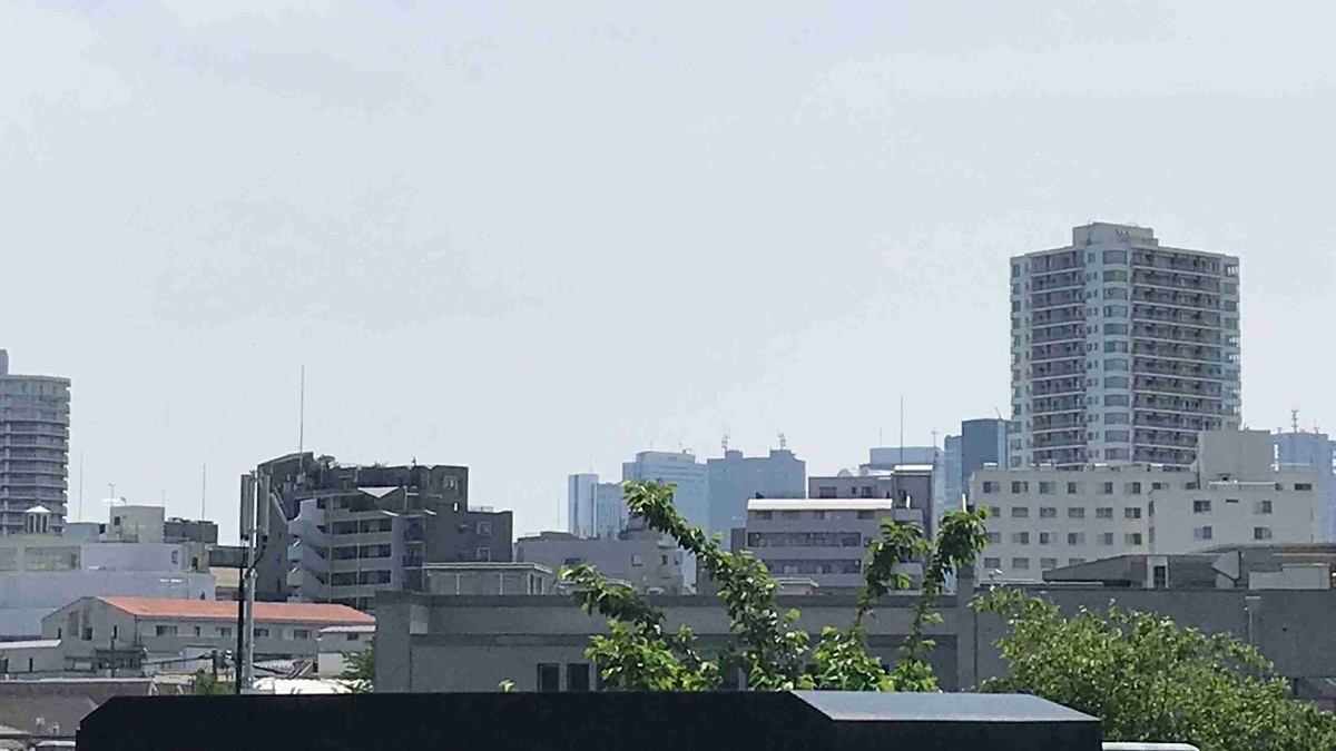 f:id:shohei_info:20190516091248j:plain