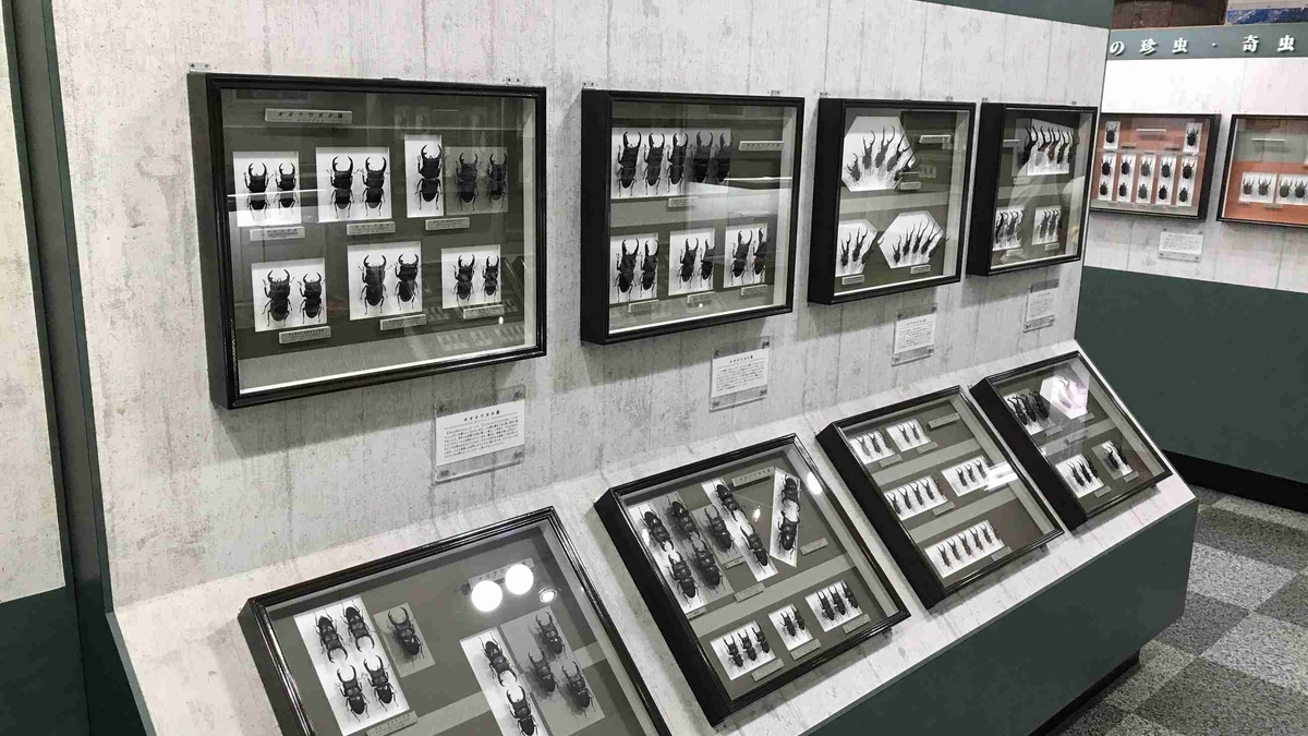 f:id:shohei_info:20190529133356j:plain