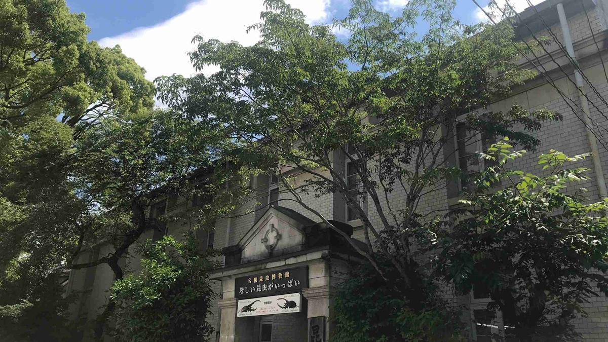 f:id:shohei_info:20190609073111j:plain