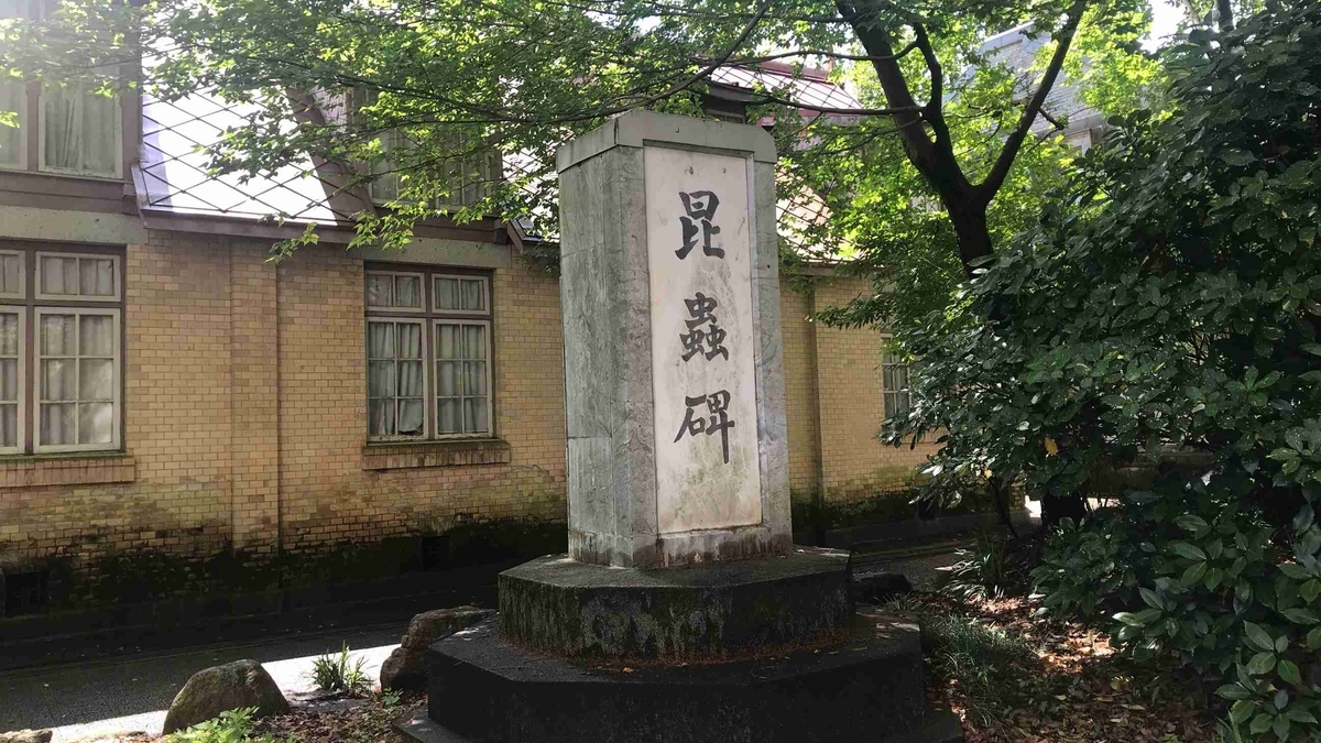 f:id:shohei_info:20190609073155j:plain