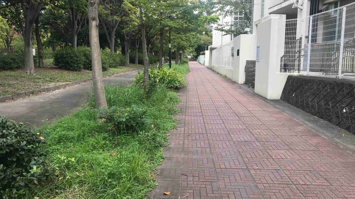 f:id:shohei_info:20190915081530j:plain f:id:shohei_info:20190915081530j:plain