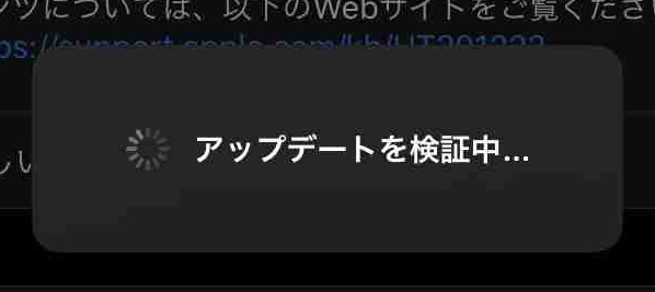 f:id:shohei_info:20191108061248j:plain