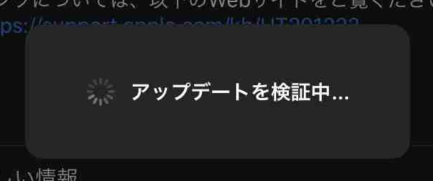 f:id:shohei_info:20191119080719j:plain