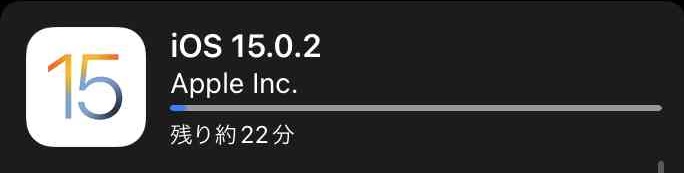 f:id:shohei_info:20211012092008j:plain