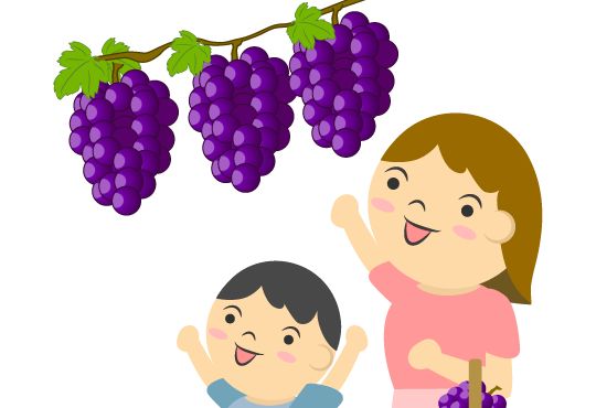 f:id:shohn656:20200229012710j:plain f:id:shohn656:20200229012710j:plain