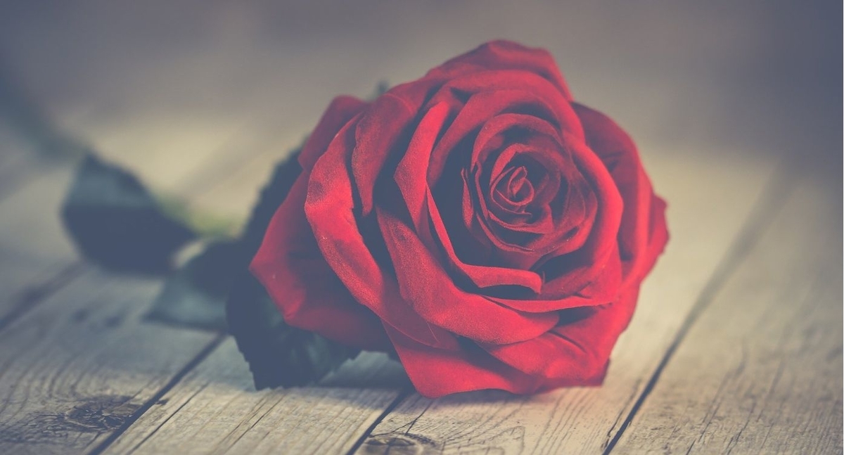 f:id:shohn656:20200430184238j:plain f:id:shohn656:20200430184238j:plain