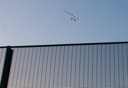 f:id:shohoji:20111018142430j:image:w360