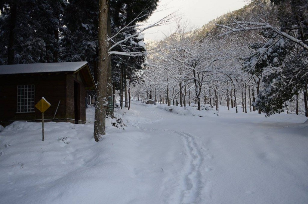 f:id:shoichimasuhara:20161228213026j:plain f:id:shoichimasuhara:20161228213026j:plain