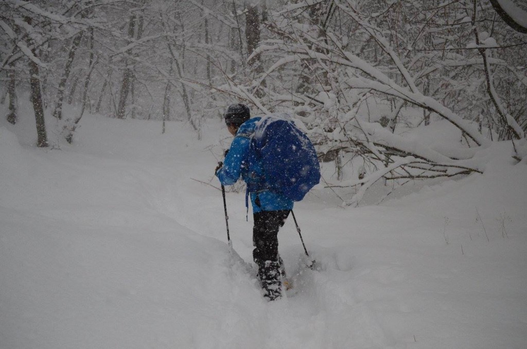 f:id:shoichimasuhara:20161228213303j:plain f:id:shoichimasuhara:20161228213303j:plain