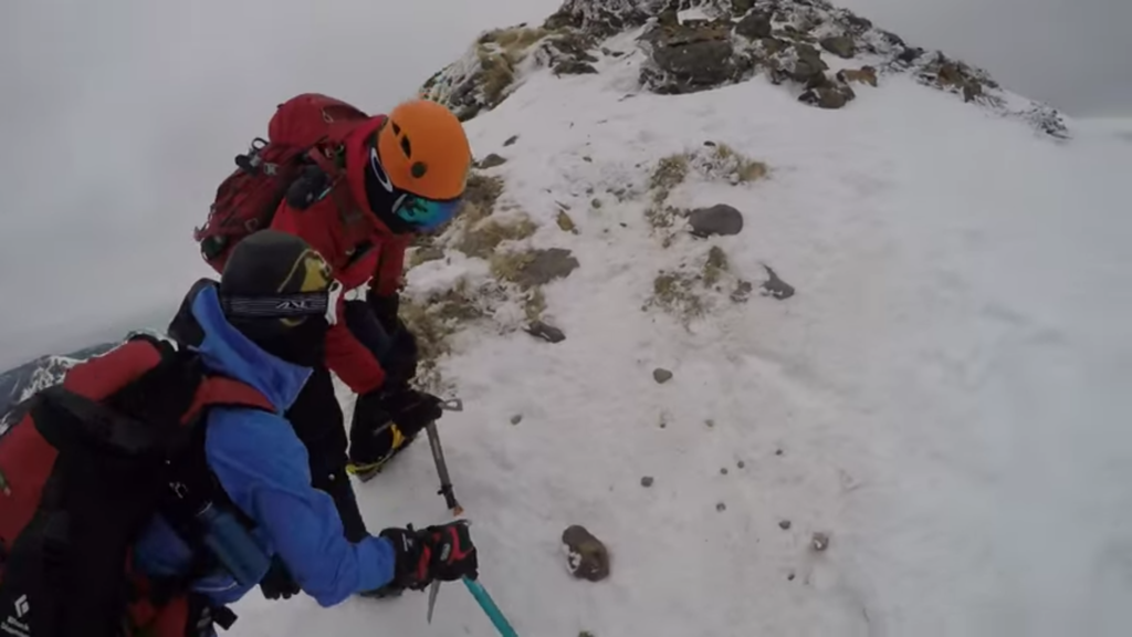 f:id:shoichimasuhara:20161228221513p:plain f:id:shoichimasuhara:20161228221513p:plain