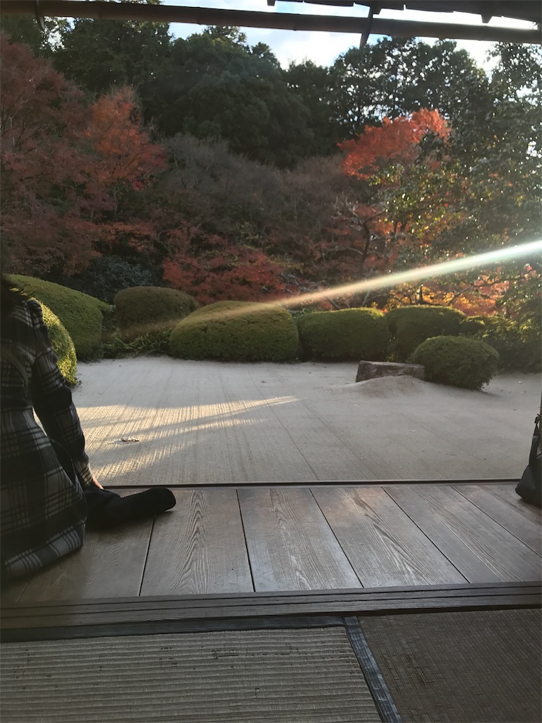 f:id:shoining:20171127223421j:image f:id:shoining:20171127223421j:image
