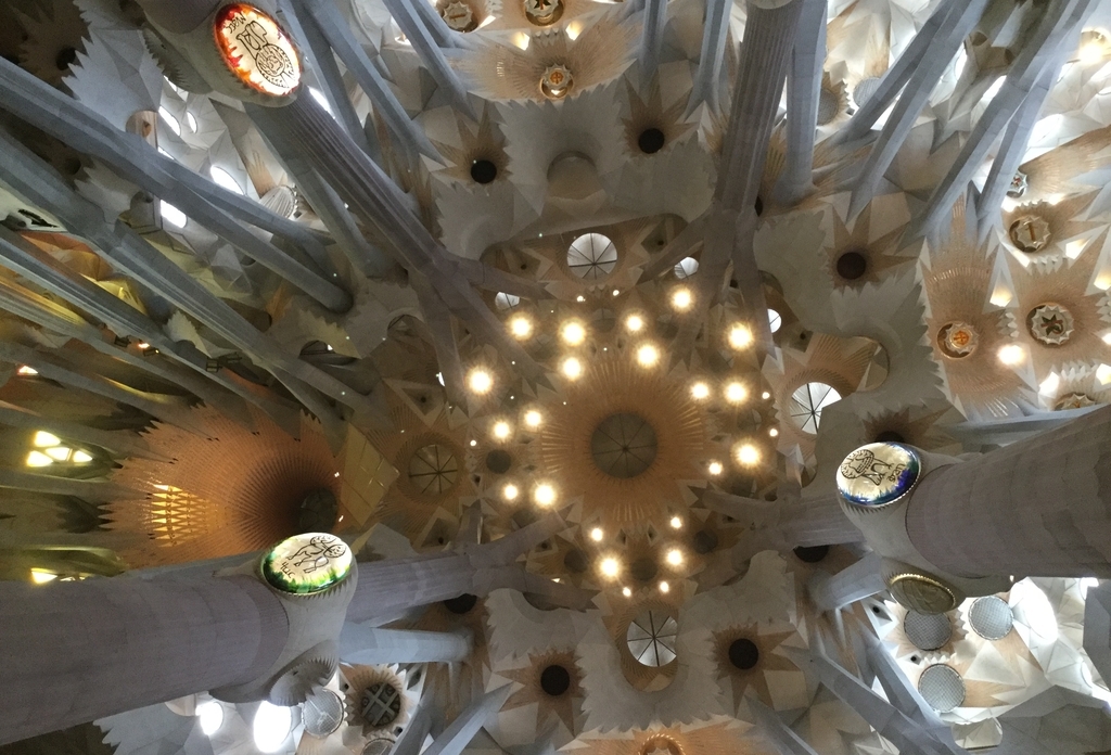 f:id:shojig:20181224000450j:plain