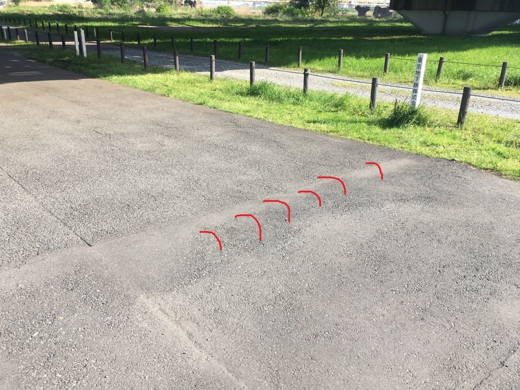 f:id:shojisan:20180421173924j:plain f:id:shojisan:20180421173924j:plain
