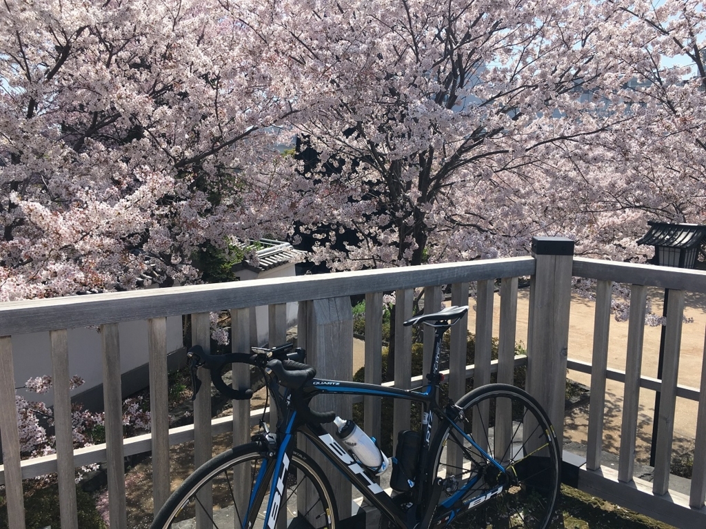 f:id:shojisan:20180423213746j:plain f:id:shojisan:20180423213746j:plain