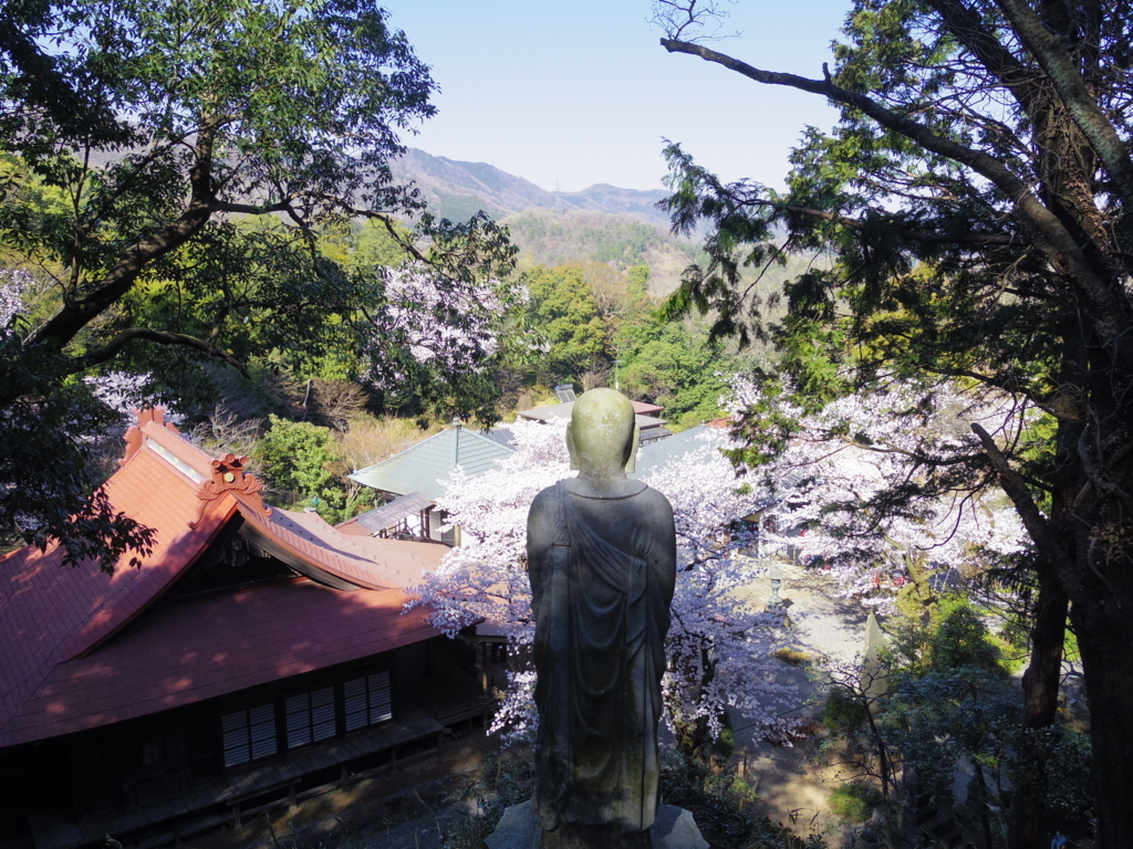 f:id:shoka_litera162:20180607182153j:plain f:id:shoka_litera162:20180607182153j:plain