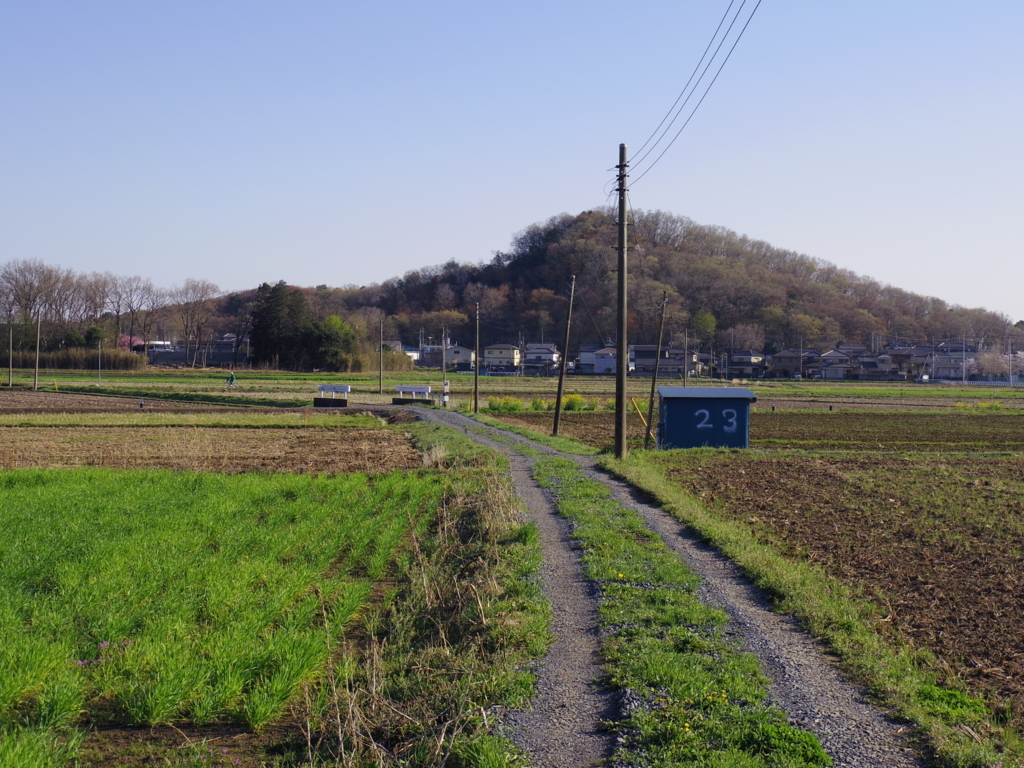 f:id:shoka_litera162:20180607182816j:plain f:id:shoka_litera162:20180607182816j:plain