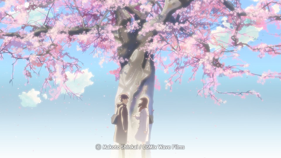 f:id:shoka_litera162:20180607202533j:plain f:id:shoka_litera162:20180607202533j:plain
