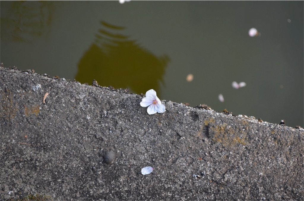 f:id:shokaki_2:20180404181039j:image f:id:shokaki_2:20180404181039j:image