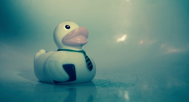 f:id:shokichi48:20201130221445j:plain