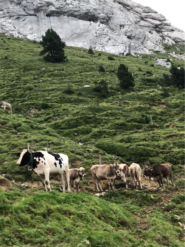 f:id:shokichi48:20210311212943j:image