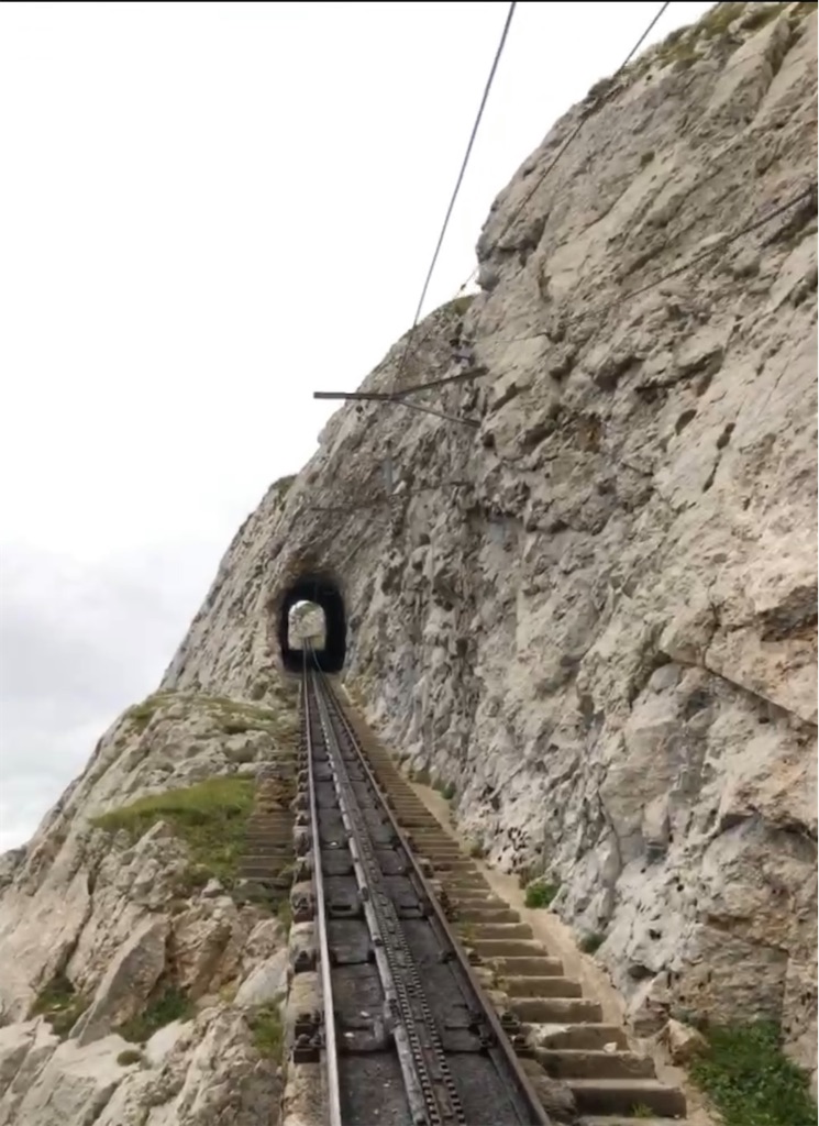 f:id:shokichi48:20210311212947j:image