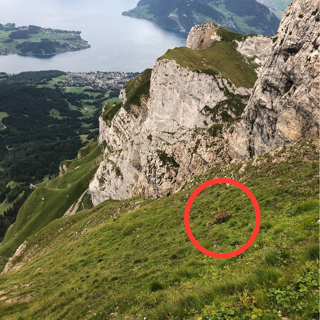 f:id:shokichi48:20210313211812j:image