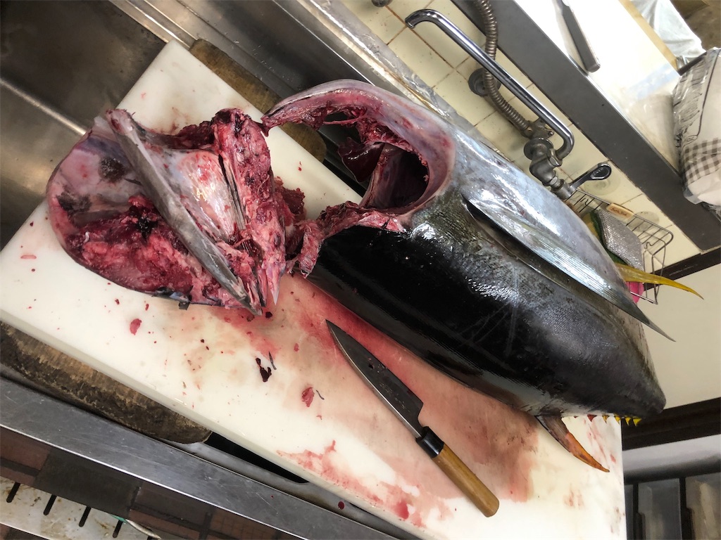 f:id:shokicimorikawa:20190814202319j:plain f:id:shokicimorikawa:20190814202319j:plain