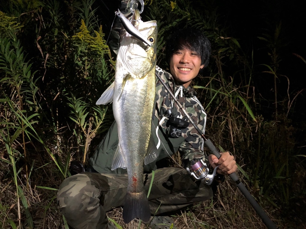 f:id:shokicimorikawa:20191105191937j:plain f:id:shokicimorikawa:20191105191937j:plain