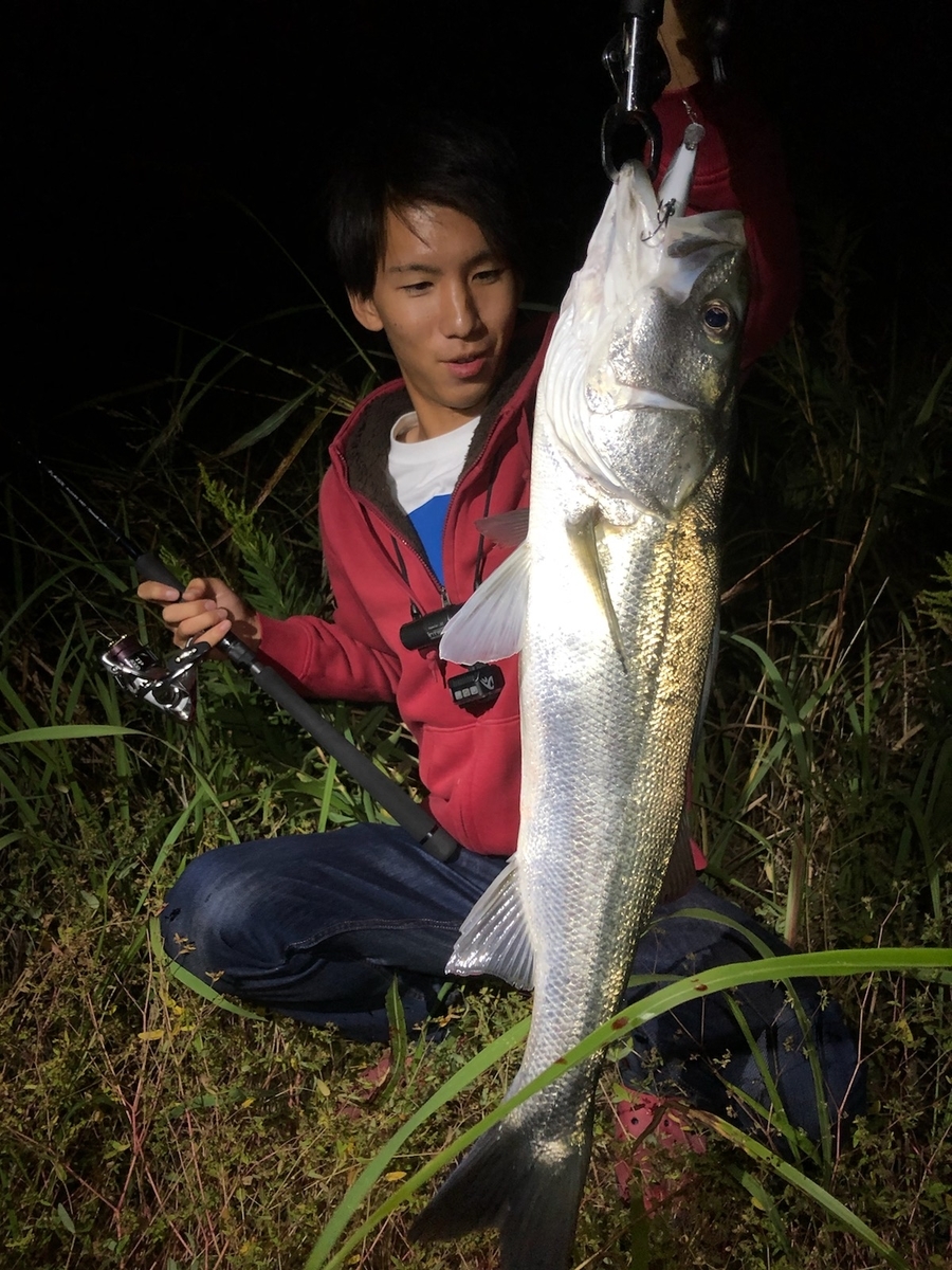 f:id:shokicimorikawa:20191105193958j:plain f:id:shokicimorikawa:20191105193958j:plain
