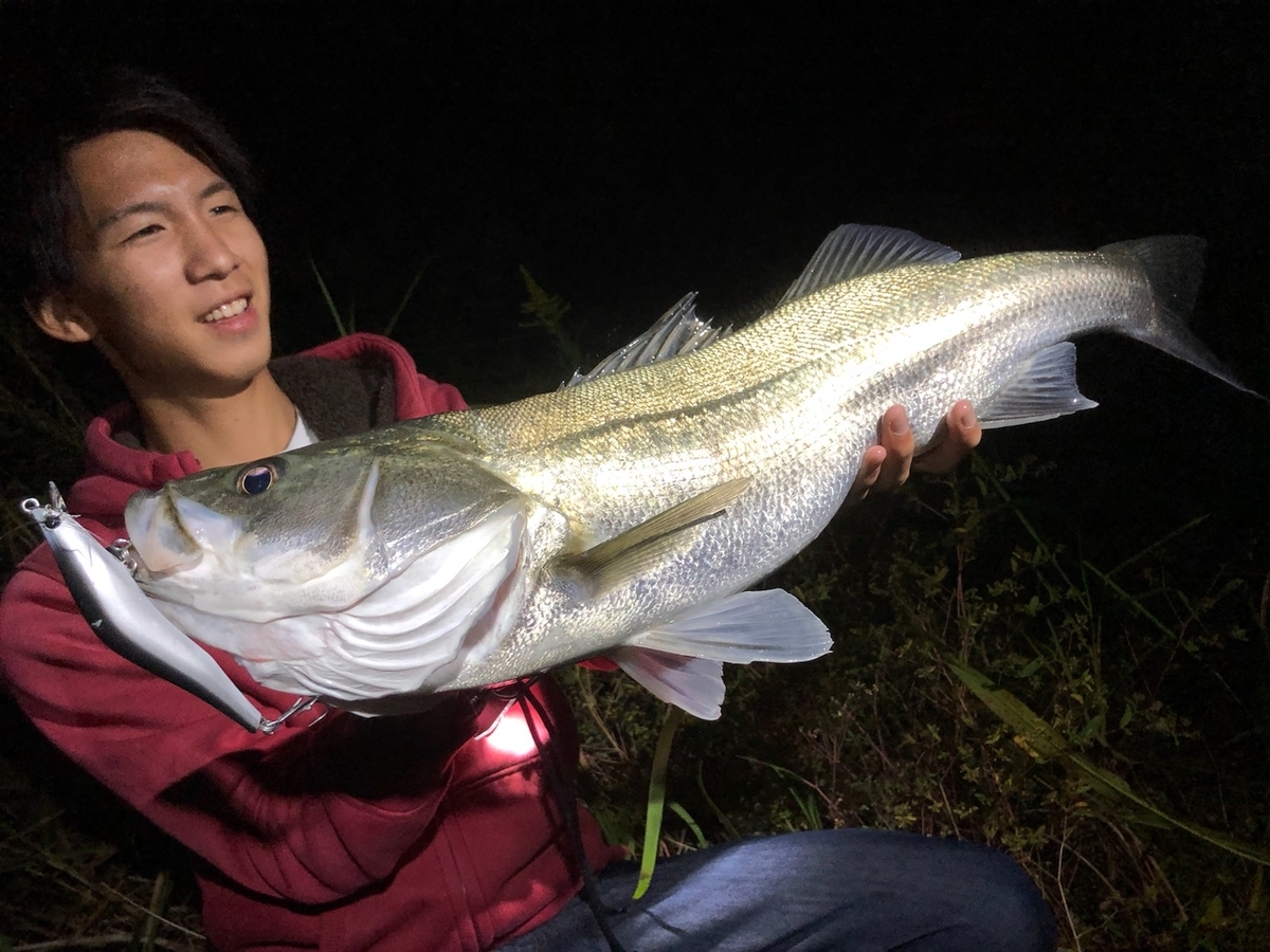 f:id:shokicimorikawa:20191105194230j:plain f:id:shokicimorikawa:20191105194230j:plain