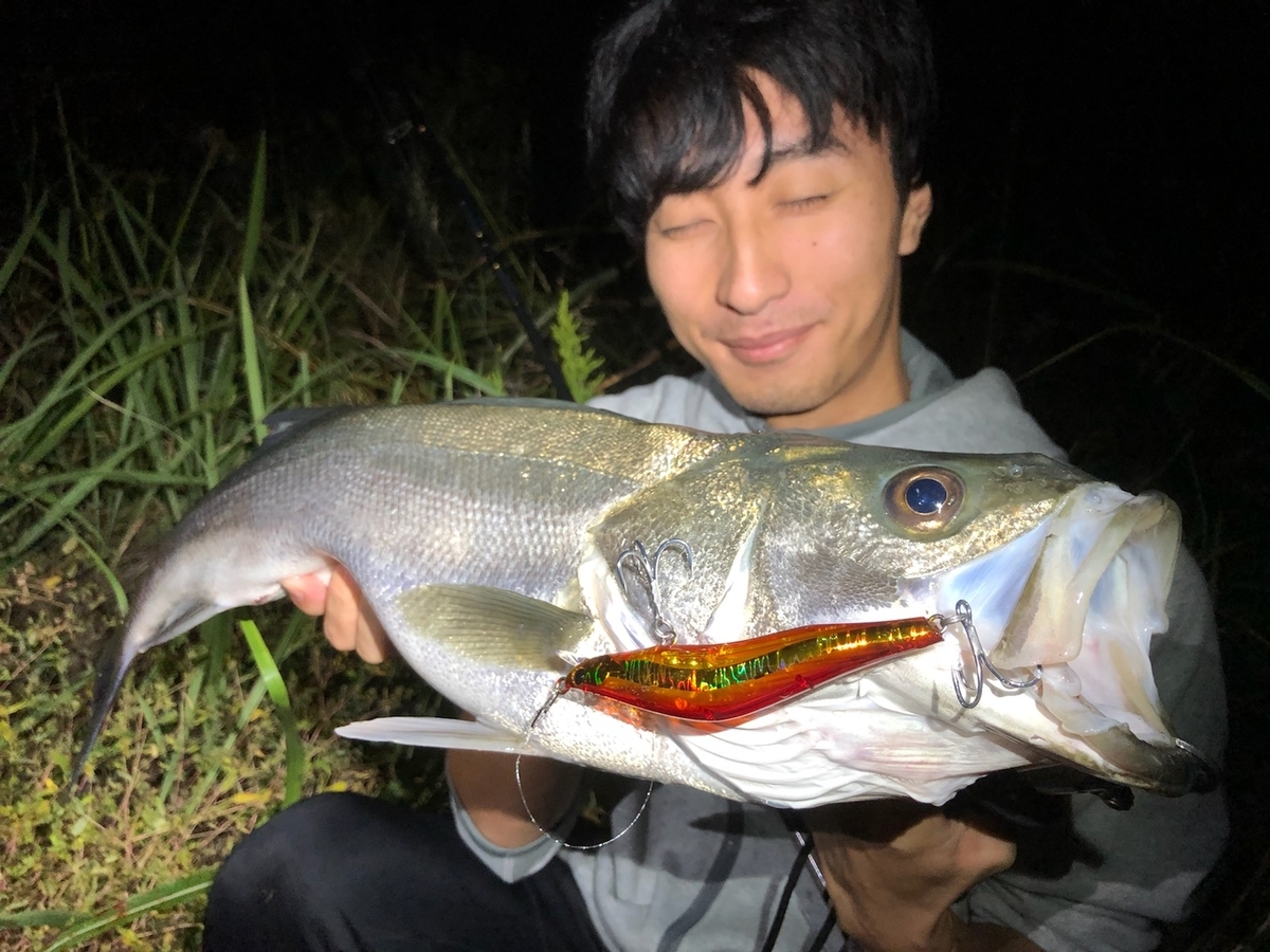 f:id:shokicimorikawa:20191105194358j:plain f:id:shokicimorikawa:20191105194358j:plain