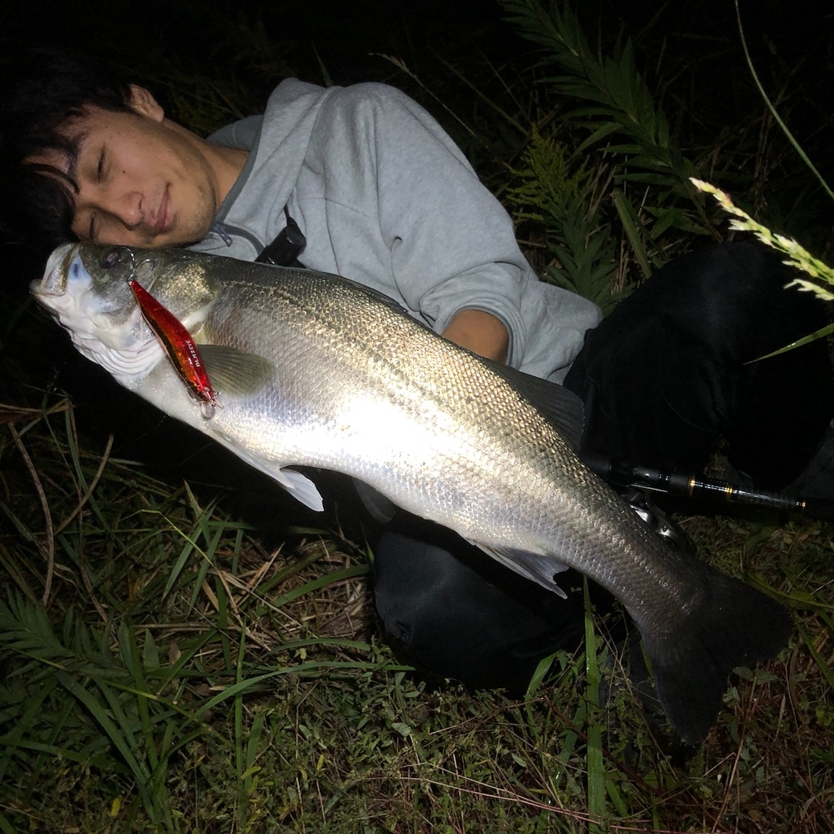 f:id:shokicimorikawa:20191105194422j:plain f:id:shokicimorikawa:20191105194422j:plain