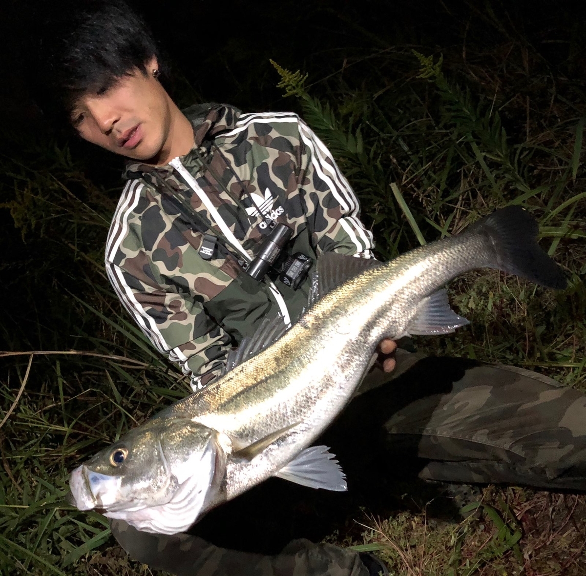 f:id:shokicimorikawa:20191105195721j:plain f:id:shokicimorikawa:20191105195721j:plain