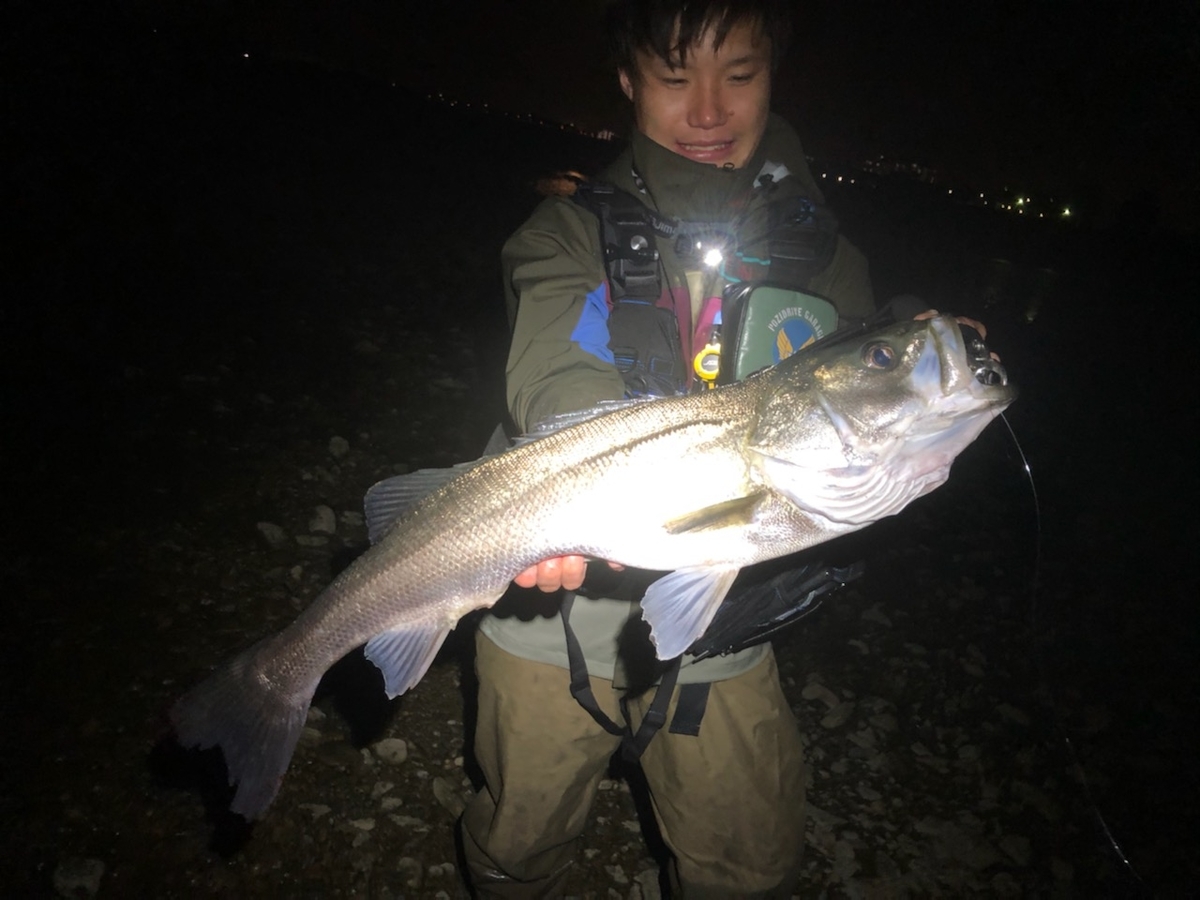 f:id:shokicimorikawa:20191111194959j:plain f:id:shokicimorikawa:20191111194959j:plain
