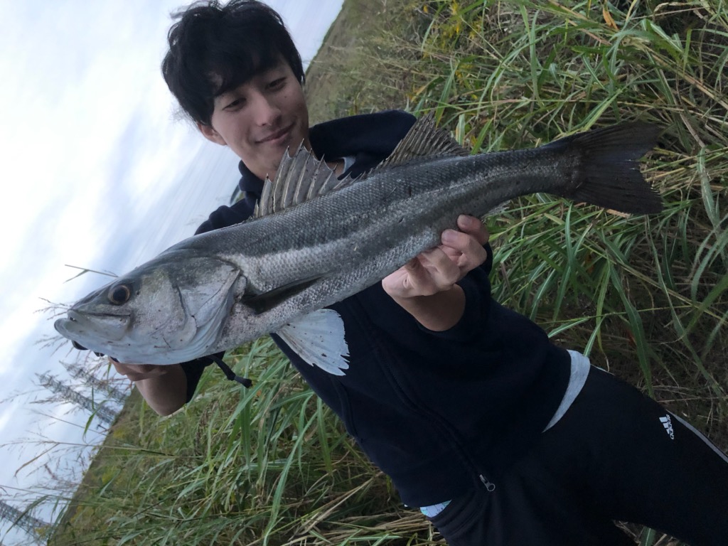 f:id:shokicimorikawa:20191111203121j:plain f:id:shokicimorikawa:20191111203121j:plain