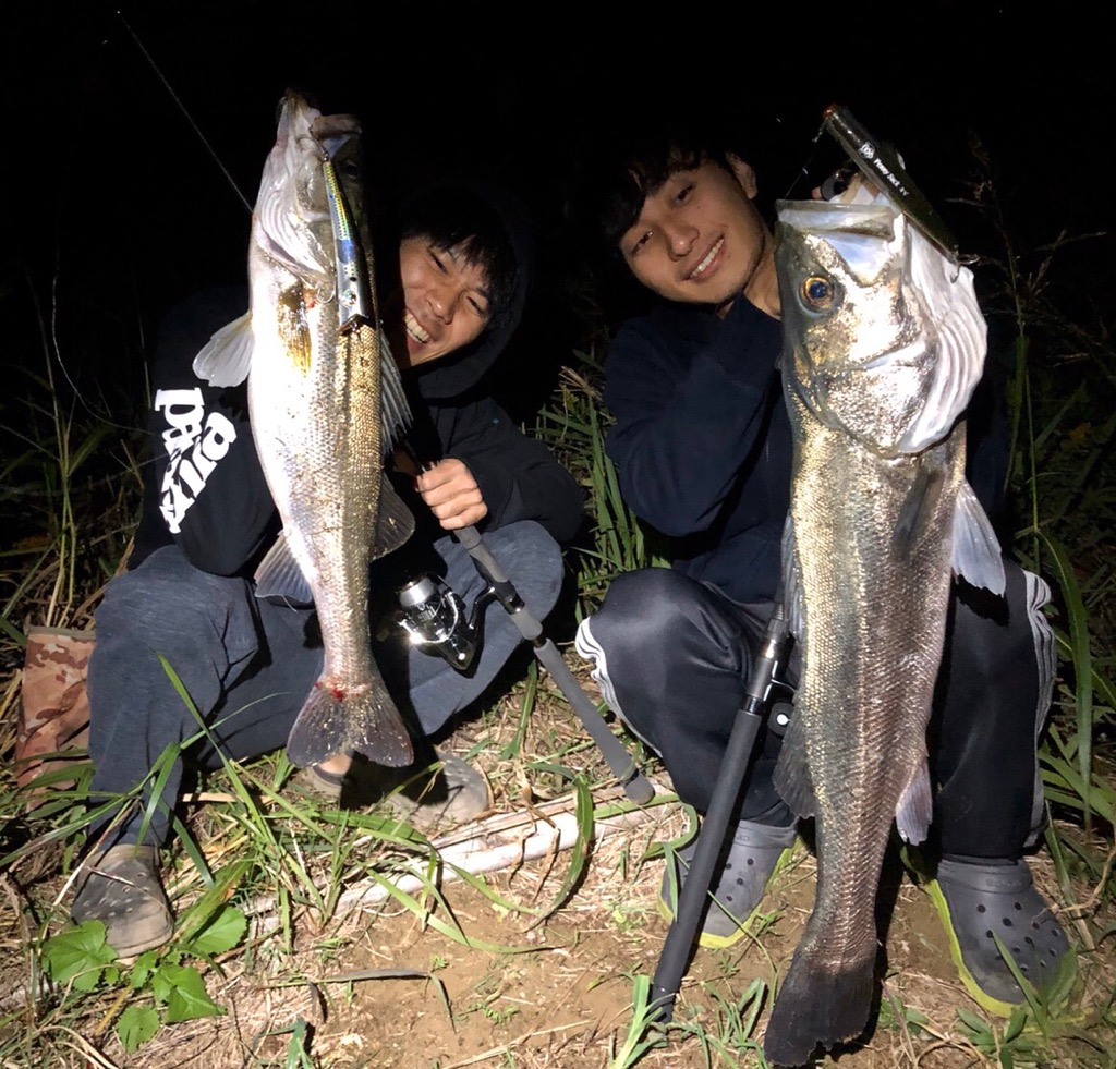 f:id:shokicimorikawa:20191111203455j:plain f:id:shokicimorikawa:20191111203455j:plain