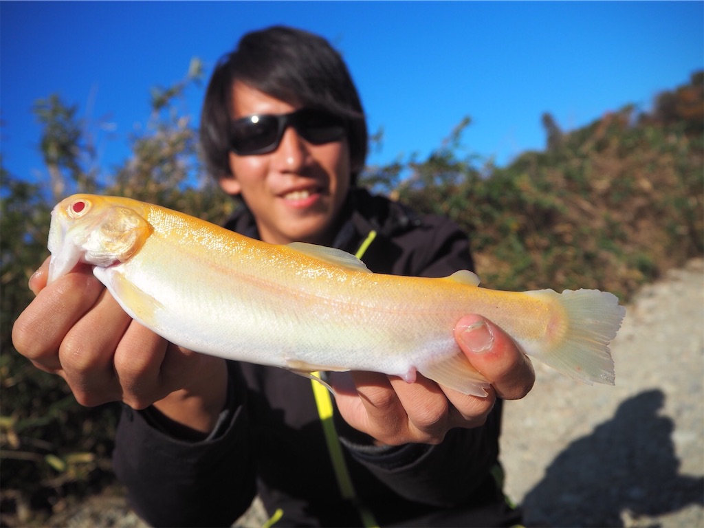 f:id:shokicimorikawa:20191218193213j:plain f:id:shokicimorikawa:20191218193213j:plain
