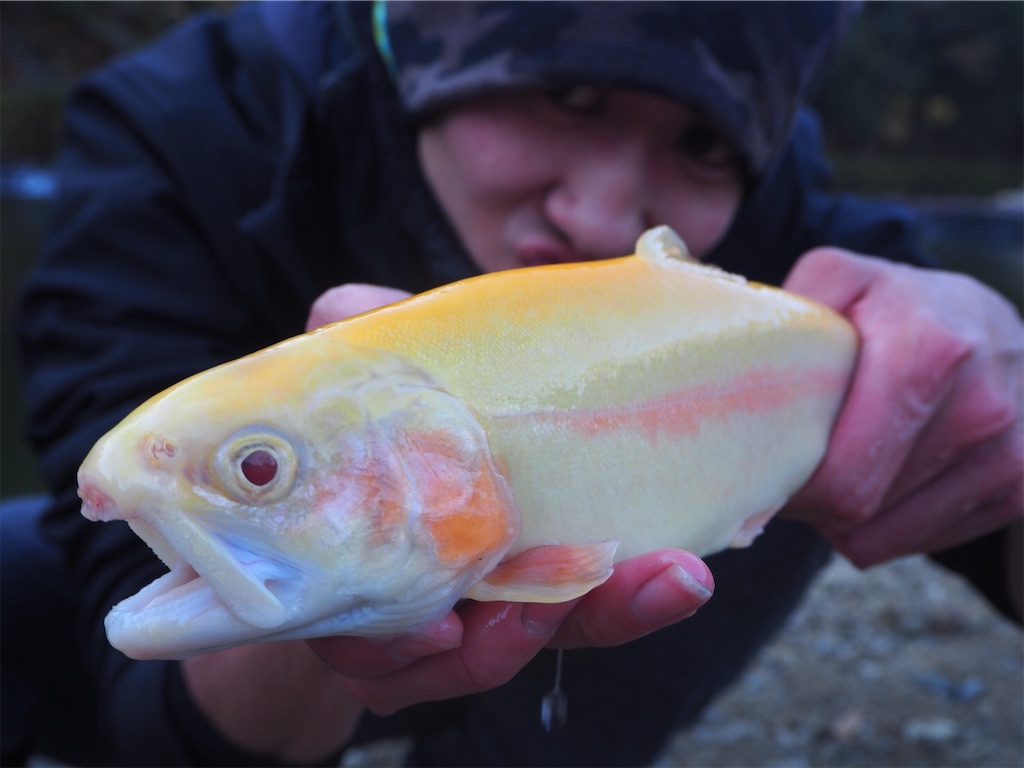 f:id:shokicimorikawa:20191218193218j:plain f:id:shokicimorikawa:20191218193218j:plain