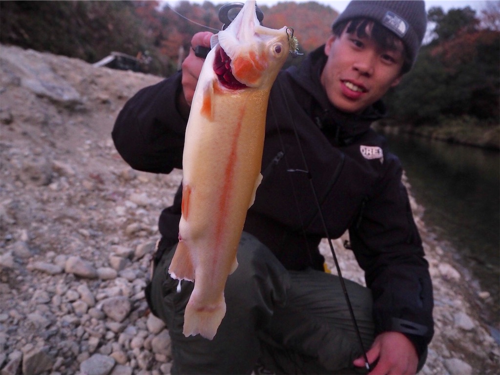 f:id:shokicimorikawa:20191218193224j:plain f:id:shokicimorikawa:20191218193224j:plain