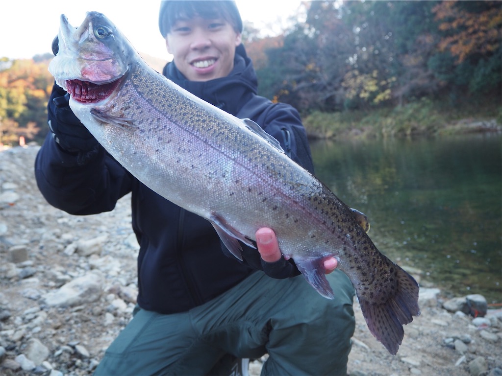 f:id:shokicimorikawa:20191218193228j:plain f:id:shokicimorikawa:20191218193228j:plain
