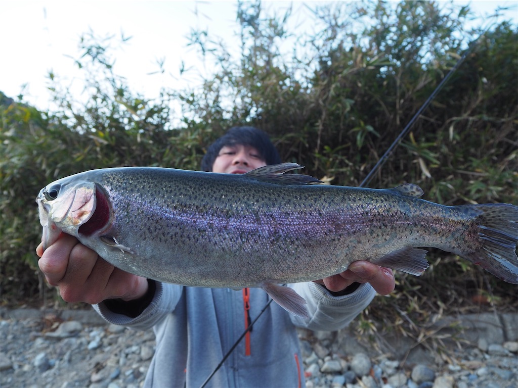 f:id:shokicimorikawa:20191218193245j:plain f:id:shokicimorikawa:20191218193245j:plain