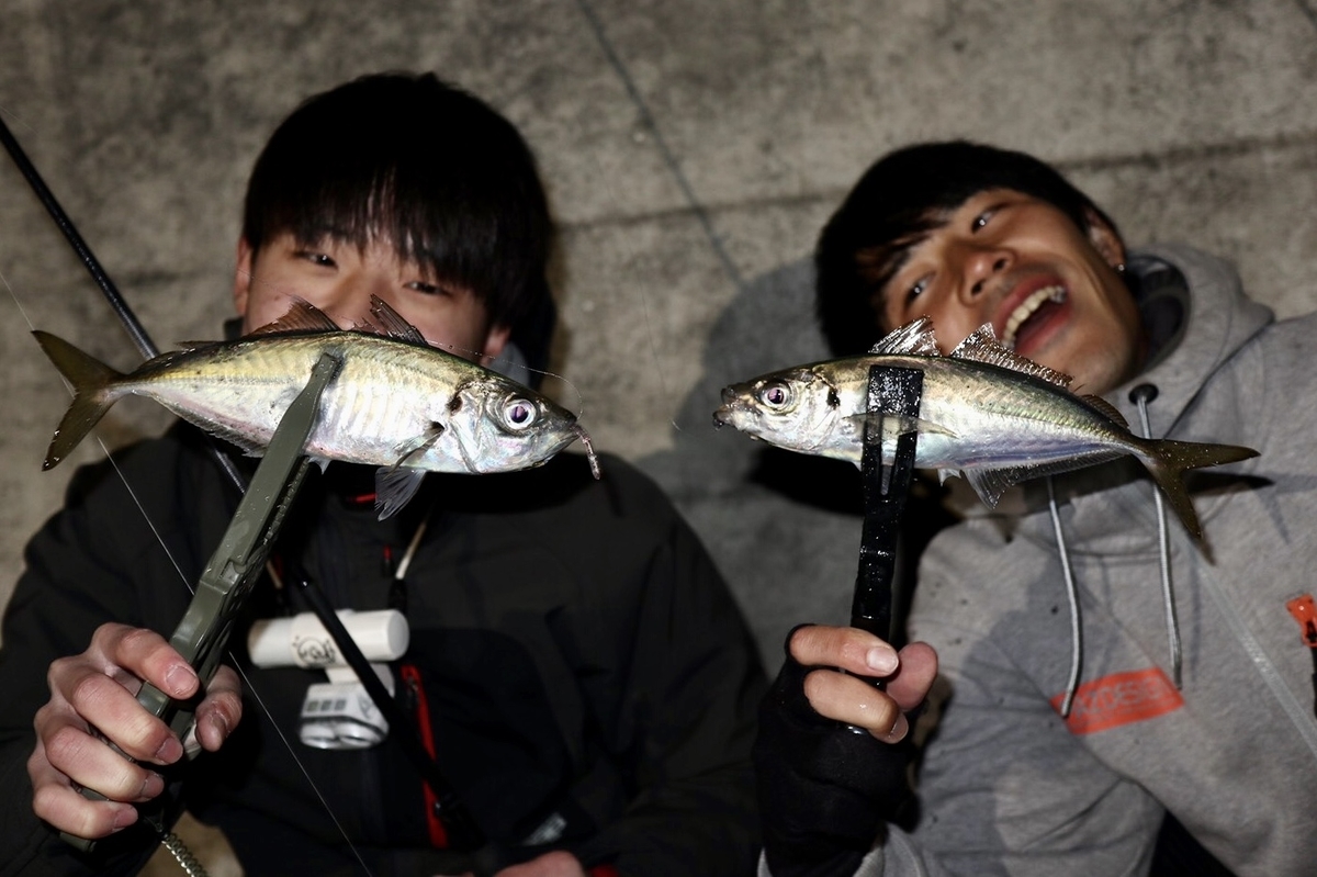 f:id:shokicimorikawa:20200330155316j:plain f:id:shokicimorikawa:20200330155316j:plain