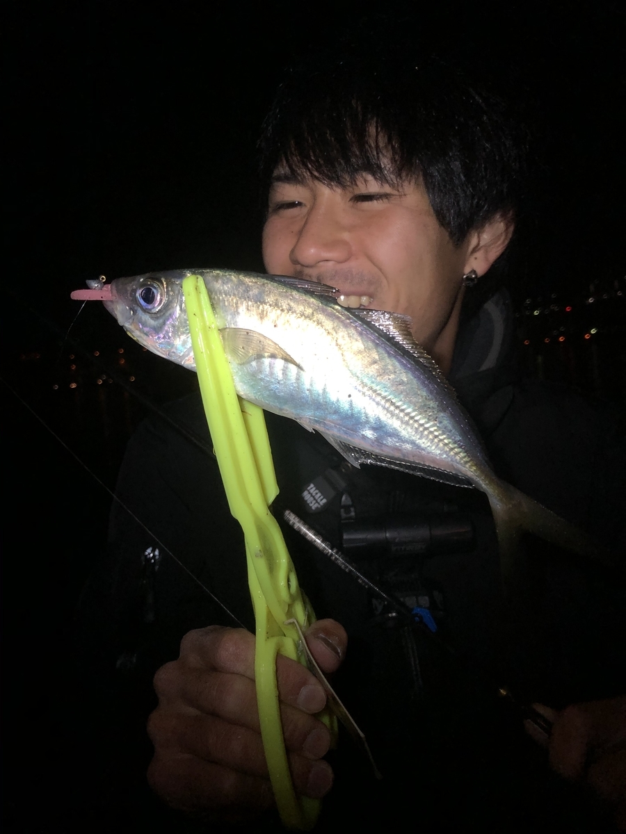 f:id:shokicimorikawa:20200330161442j:plain f:id:shokicimorikawa:20200330161442j:plain